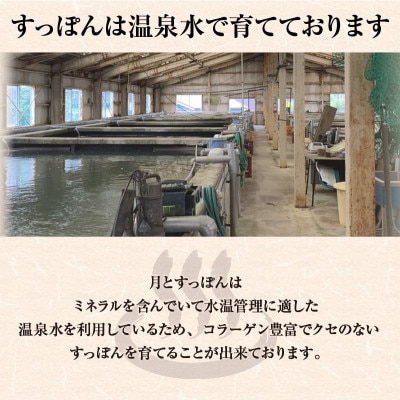 【すっぽん 鍋セット　(すっぽん切り身入り)調理済 冷凍】