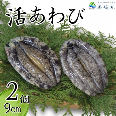 活あわび 養殖 9cm×2枚 160～200g　20-11