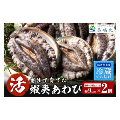 活あわび 養殖 9cm×2枚 160～200g　20-11