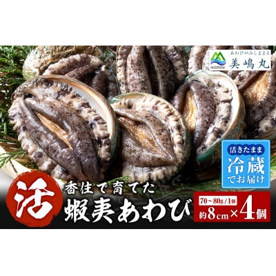 活あわび 養殖 8cm×4枚 280～320g　20-01