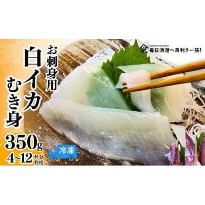 柔らかくて甘い!お刺身用 白イカむき身 350g(冷凍)