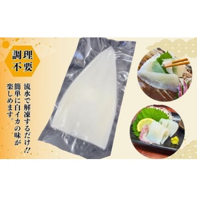 柔らかくて甘い!お刺身用 白イカむき身 350g(冷凍)