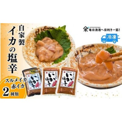 魚屋かあちゃんの自家製イカの塩辛 2種類お味見セット 冷凍