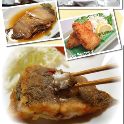 山陰のお魚切身詰め合わせ(冷凍)