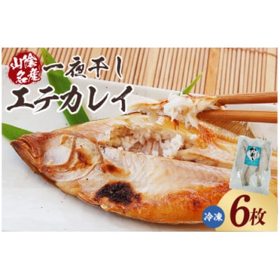 山陰名産エテカレイ一夜干し 6枚