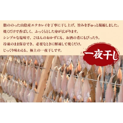 山陰名産エテカレイ一夜干し 6枚
