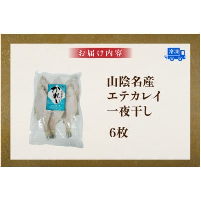 山陰名産エテカレイ一夜干し 6枚