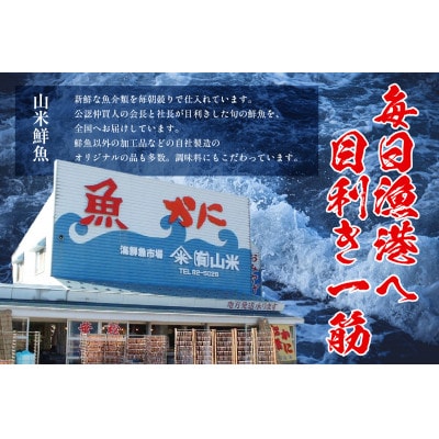 魚屋さん自家製 地魚の漬け魚 2種詰め合わせ(西京漬け)各1P 計2P 冷凍