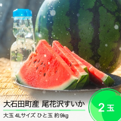 尾花沢すいか 2025年 大玉 4L×2玉 (1玉約9kg) ja-suooa4