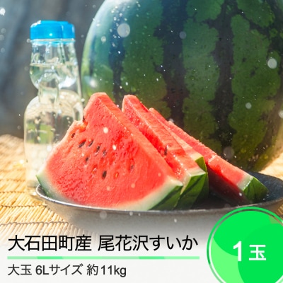 尾花沢すいか 2025年産 大玉 6L×1玉(約11kg) ja-suooa6