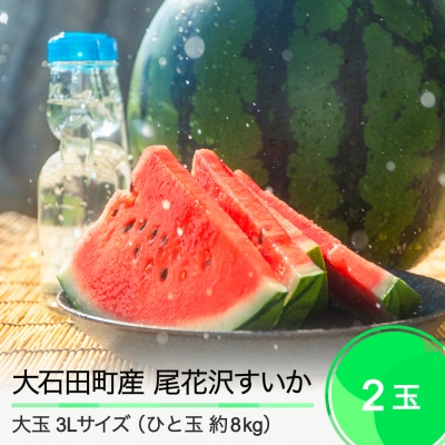 尾花沢すいか 2025年産 大玉 3L×2玉(1玉約8kg)  ja-suo2x3