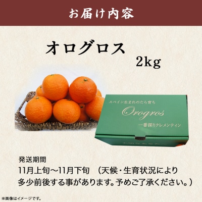 一番採りクレメンティン!新品種「オログロス」 2kg　L131