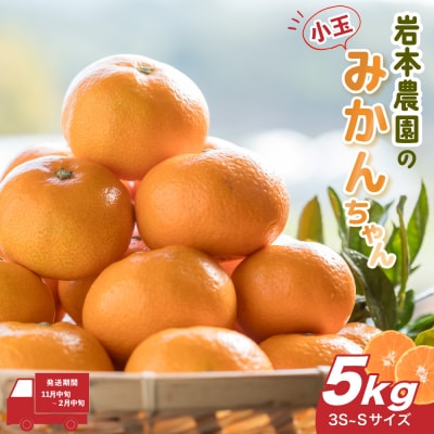 岩本農園の小玉みかんちゃん 5kg　L6