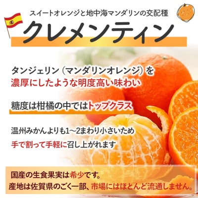 スペイン生まれのたら育ちクレメンティン 6kg　ND2