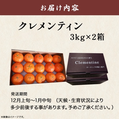スペイン生まれのたら育ちクレメンティン 6kg　ND2
