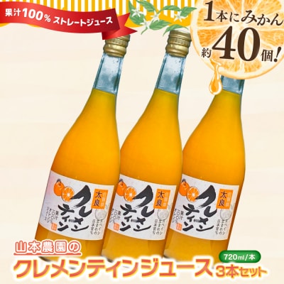 山本農園のクレメンティンジュース 3本セット　N111