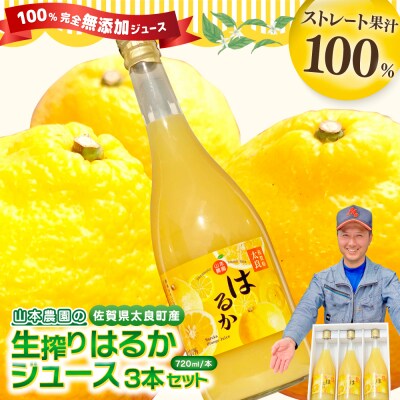 山本農園の生搾りはるか 3本セット　NC15