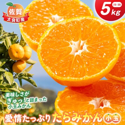 愛情たっぷりたらみかん(小玉) 5kg　L126