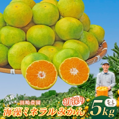 海藻ミネラルみかん(初採り) 5kg　L100