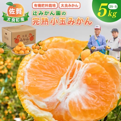 辻みかん園の甘熟小玉みかん 5kg　L95