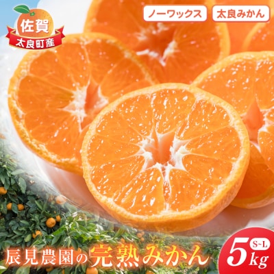 辰見農園の完熟みかん 5kg　L90