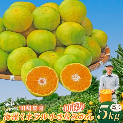 海藻ミネラル小さなみかん(初採り) 5kg　L99