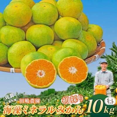 海藻ミネラルみかん(初採り) 10kg　N164