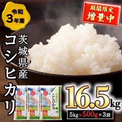 今だけ1.5kg増量中! 令和3年産 茨城県産 コシヒカリ(精米)16.5kg(5.5kg×3袋)