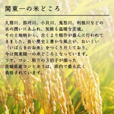 今だけ1.5kg増量中! 令和3年産 茨城県産 コシヒカリ(精米)16.5kg(5.5kg×3袋)
