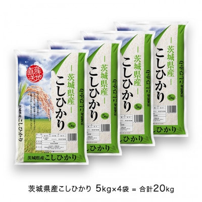 米/穀物令和4年　茨城県産コシヒカリ　玄米　20Kg