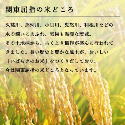 令和5年産米】茨城県産コシヒカリ・あきたこまち 食べ比べセット 精米