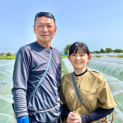 令和5年産【先行受付・6月下旬以降順次発送予定】 朝採りとうもろこし(ゴールドラッシュ) 約6kg