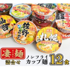 【本社工場直送!】ニュータッチ 凄麺(ノンフライカップ麺)12食 種類おまかせ | ふるさと納税のお礼品