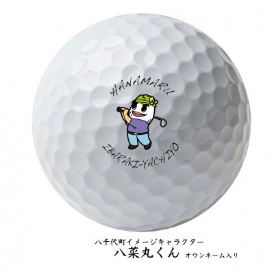 ゴルフボール タイトリスト Titleist Prov1八菜丸くん ホワイト 3箱 9球 お礼品詳細 ふるさと納税なら さとふる