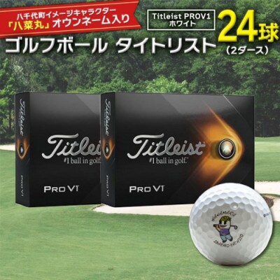 タイトリスト社製 PRO V1 WHITE 2ダース 24 www.krzysztofbialy.com