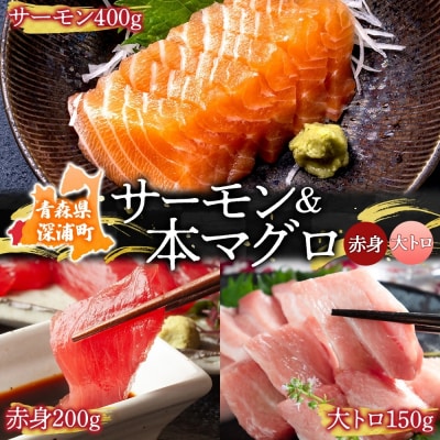 青森サーモン&国産天然本マグロ(赤身・大トロ)セット[No.5296-0093]