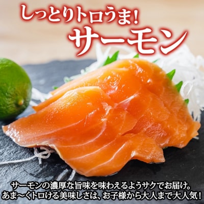 青森サーモン&国産天然本マグロ(赤身・大トロ)セット[No.5296-0093]