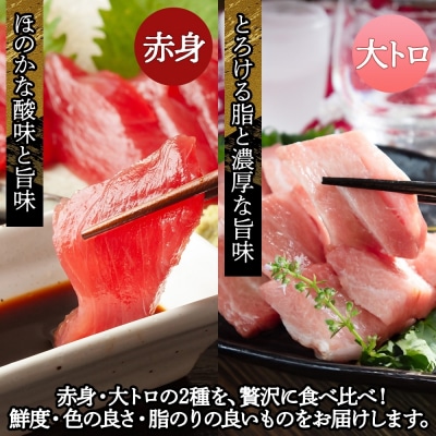 青森サーモン&国産天然本マグロ(赤身・大トロ)セット[No.5296-0093]