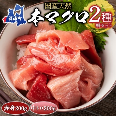 国産天然本マグロの赤身・中トロセット【No.5296-0132】