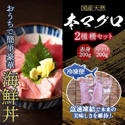国産天然本マグロの赤身・中トロセット【No.5296-0132】