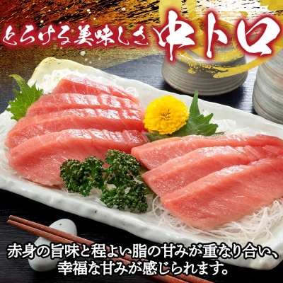 国産天然本マグロの中トロセット【No.5296-0169】