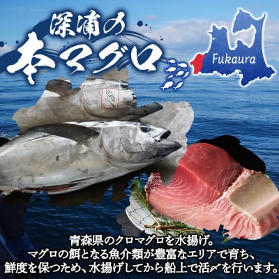国産天然本マグロの中トロセット【No.5296-0169】