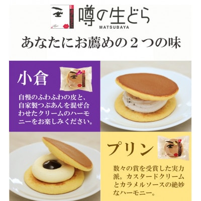噂の生どら10個セット(小倉・プリン)