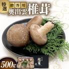 肉厚で旨味が詰まった!「奥出雲椎茸」　贈答用特選 500g