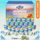 ブルーシールギフト24個セット(12種類)