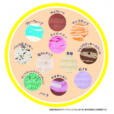 【クリスマス限定】12フレーバーハッピーアイスケーキ(バニラベース)
