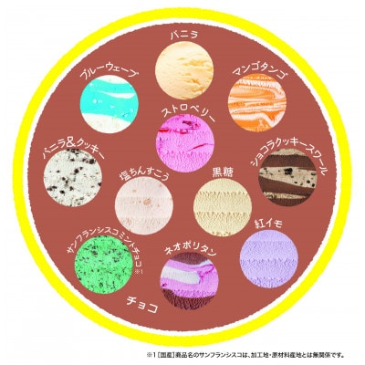 【クリスマス限定】12フレーバーハッピーアイスケーキ(チョコベース)