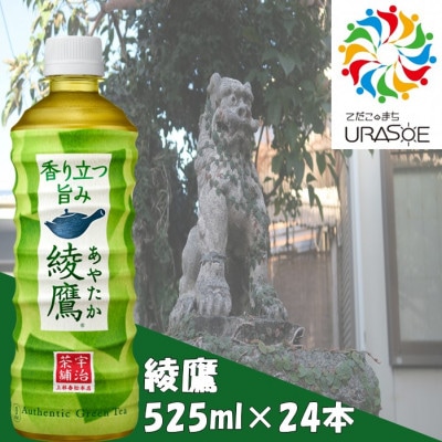 綾鷹 525ml×24本