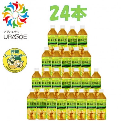 【沖縄限定!】紅茶花伝ガーデンシークヮーサーティー 500ml×24本