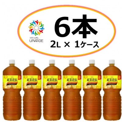 【沖縄限定!】紅茶花伝ガーデンレモンティー2L×6本